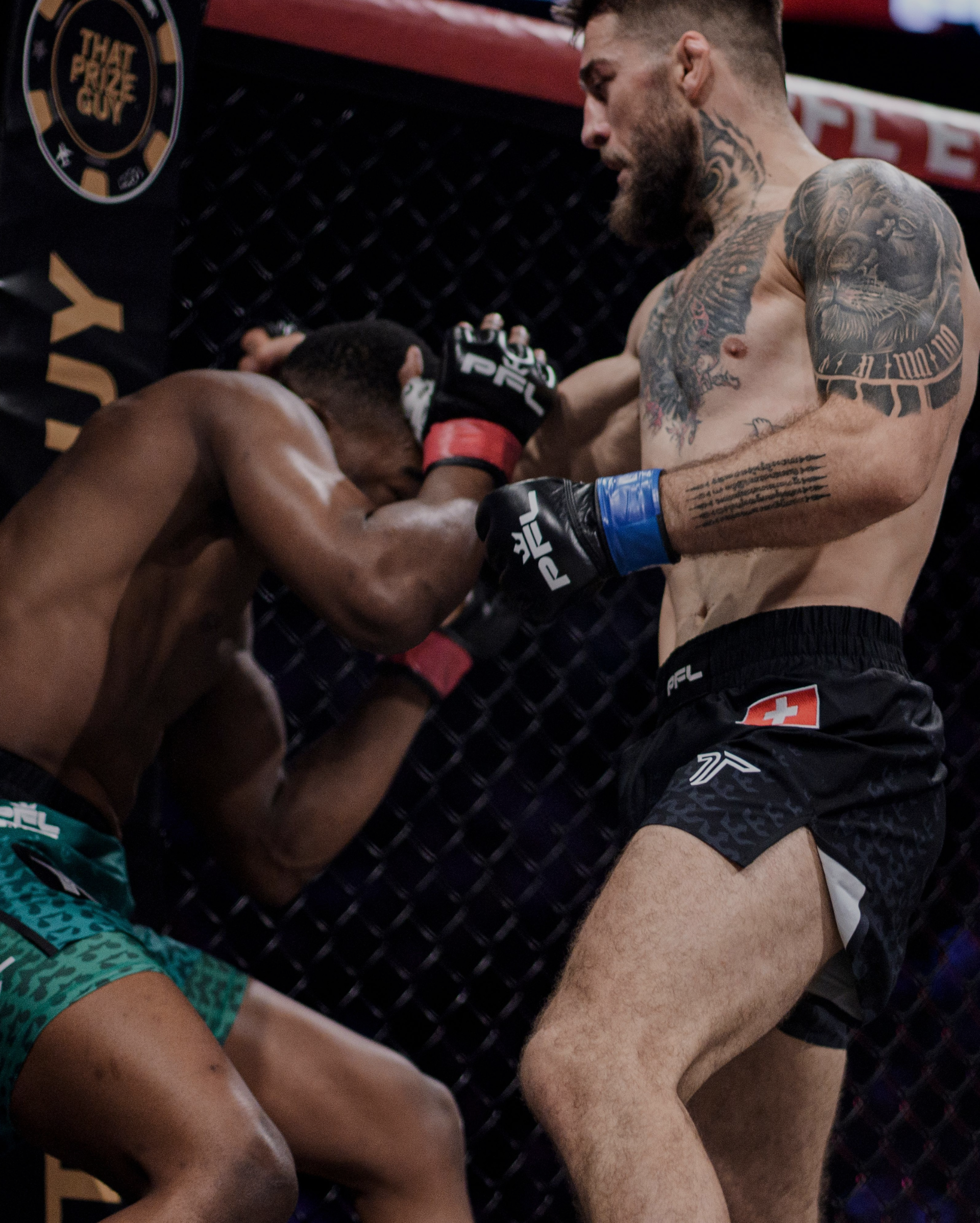 MMA